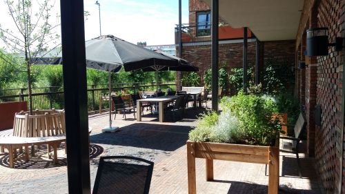 Zonnig terras met plantenbakken veel groen